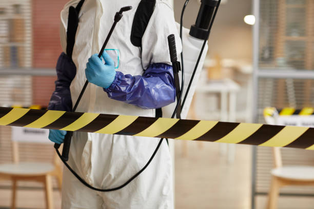 Professional Sewage Cleanup technician working in Independence, WI